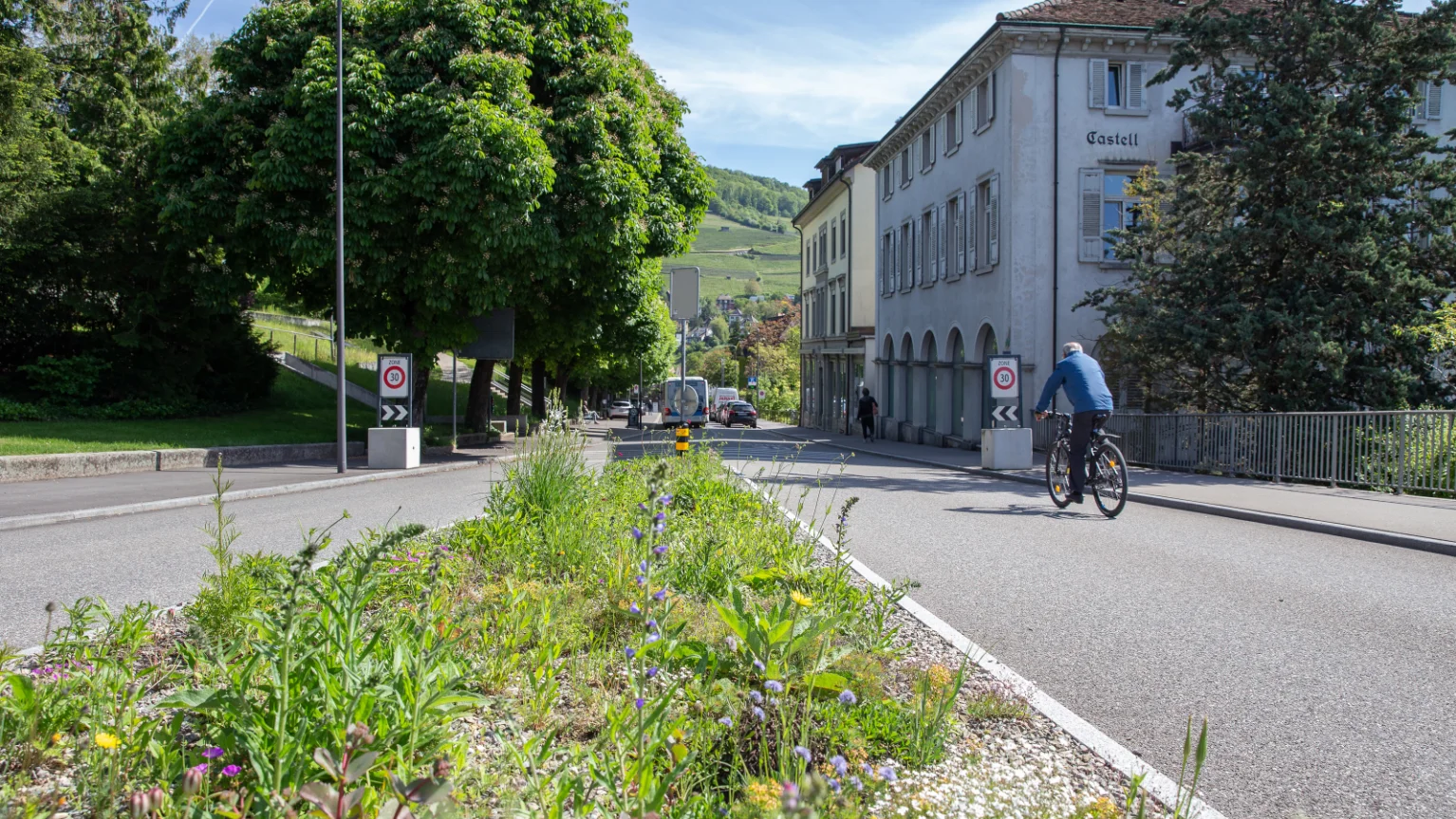 Strassenbegleitfläche in Baden