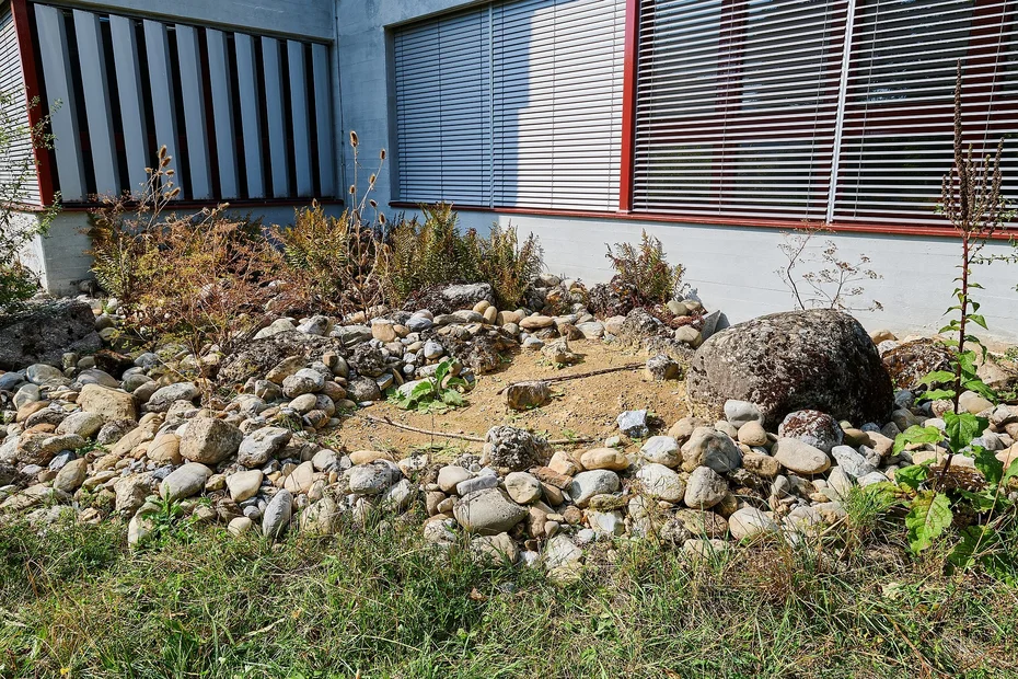 Steinhaufen und Sandlinsen beim Schulhaus