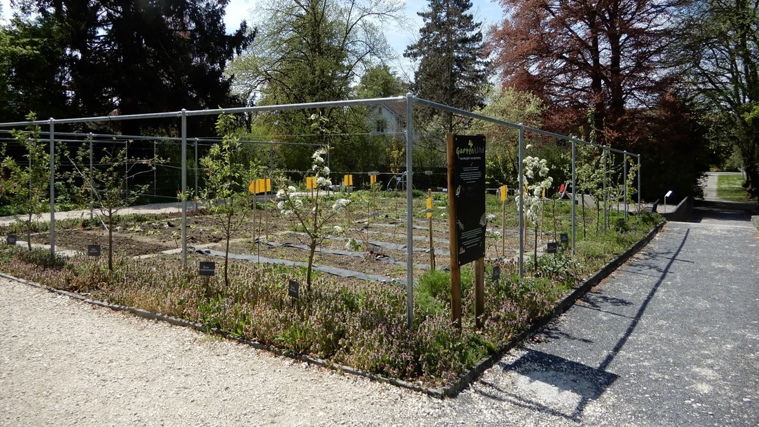 Nutzgarten in Zofingen für das Projekt Gartenkind von Bioterra
