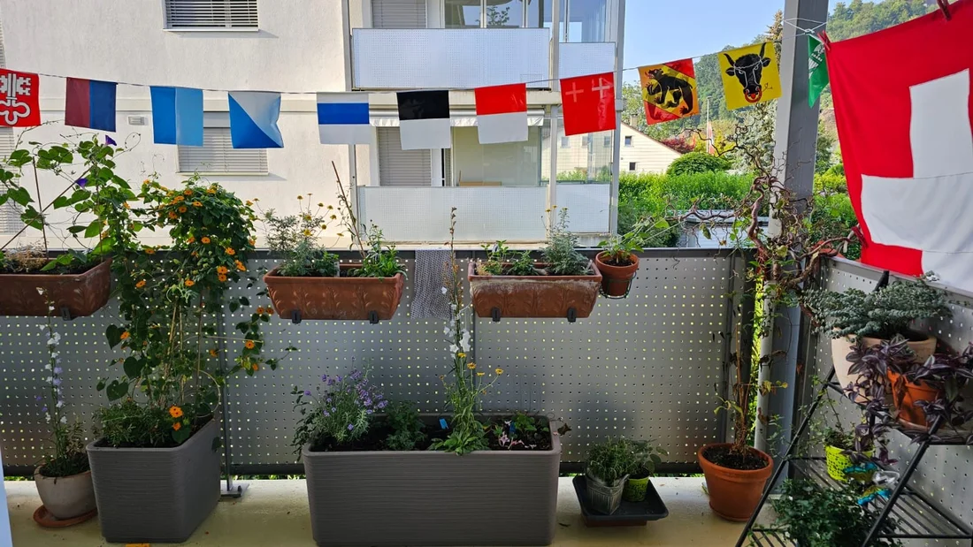 Nebst den bunten Fähnli dekorieren allerlei Zier- und Kräuterpflanzen diesen Balkon. 