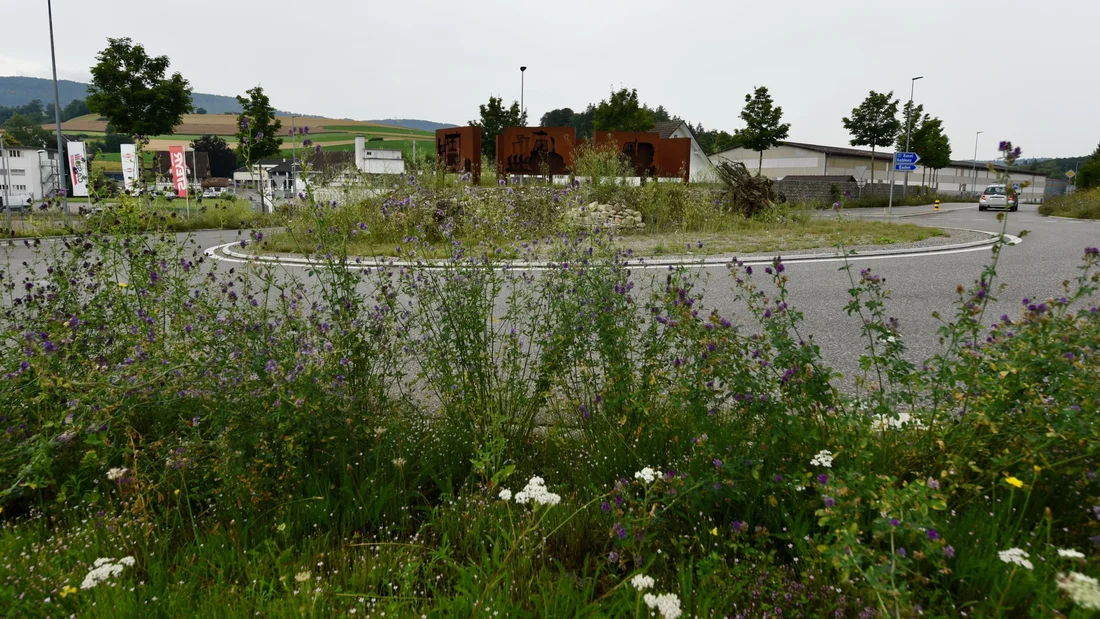 Kreisel an der Kantonsstrasse in Schneisingen im Juli 2024